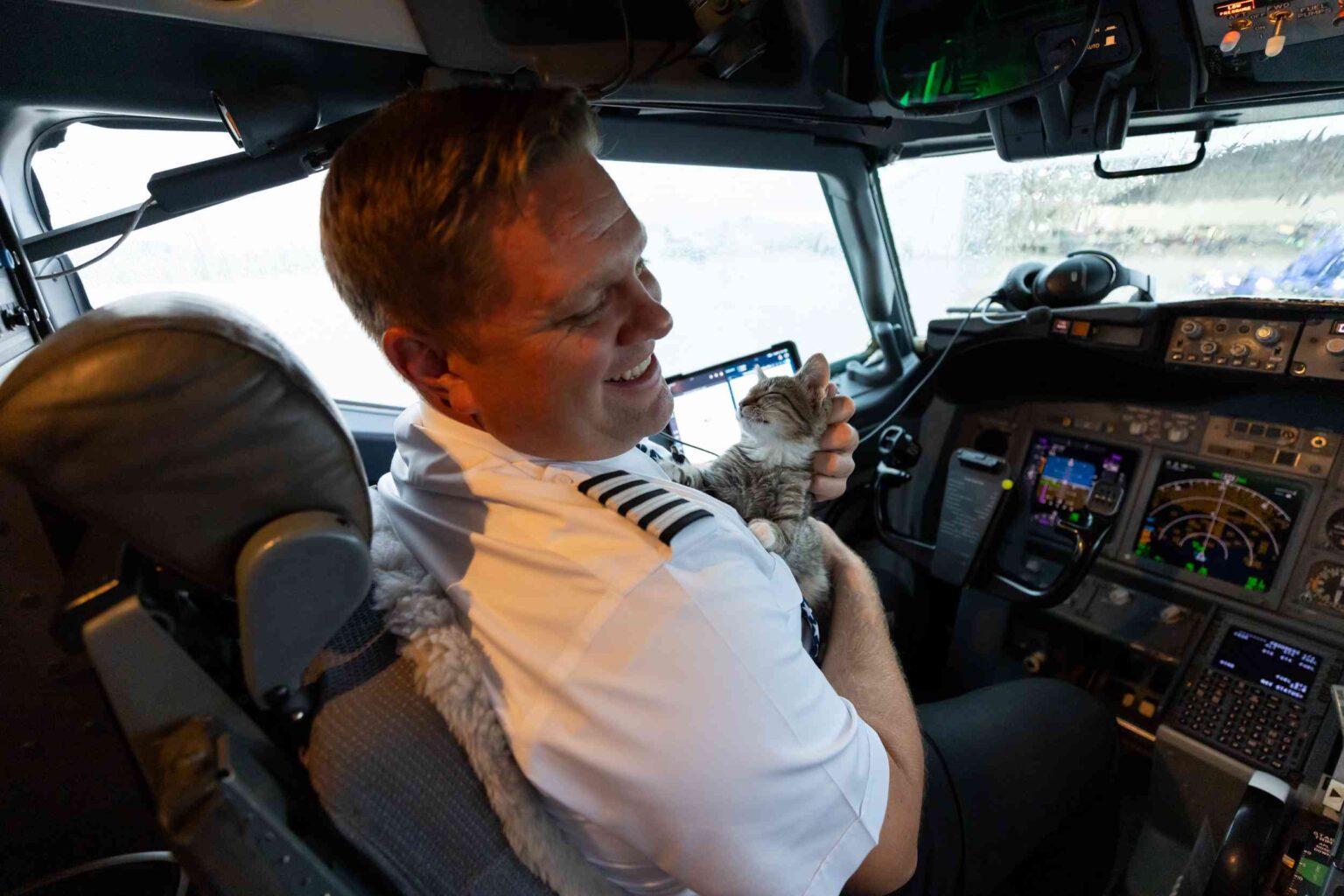 Pilot Flying Rescue Flight For Shelter Animals Impacted By Hurricanes Falls In Love With Kitten Passenger