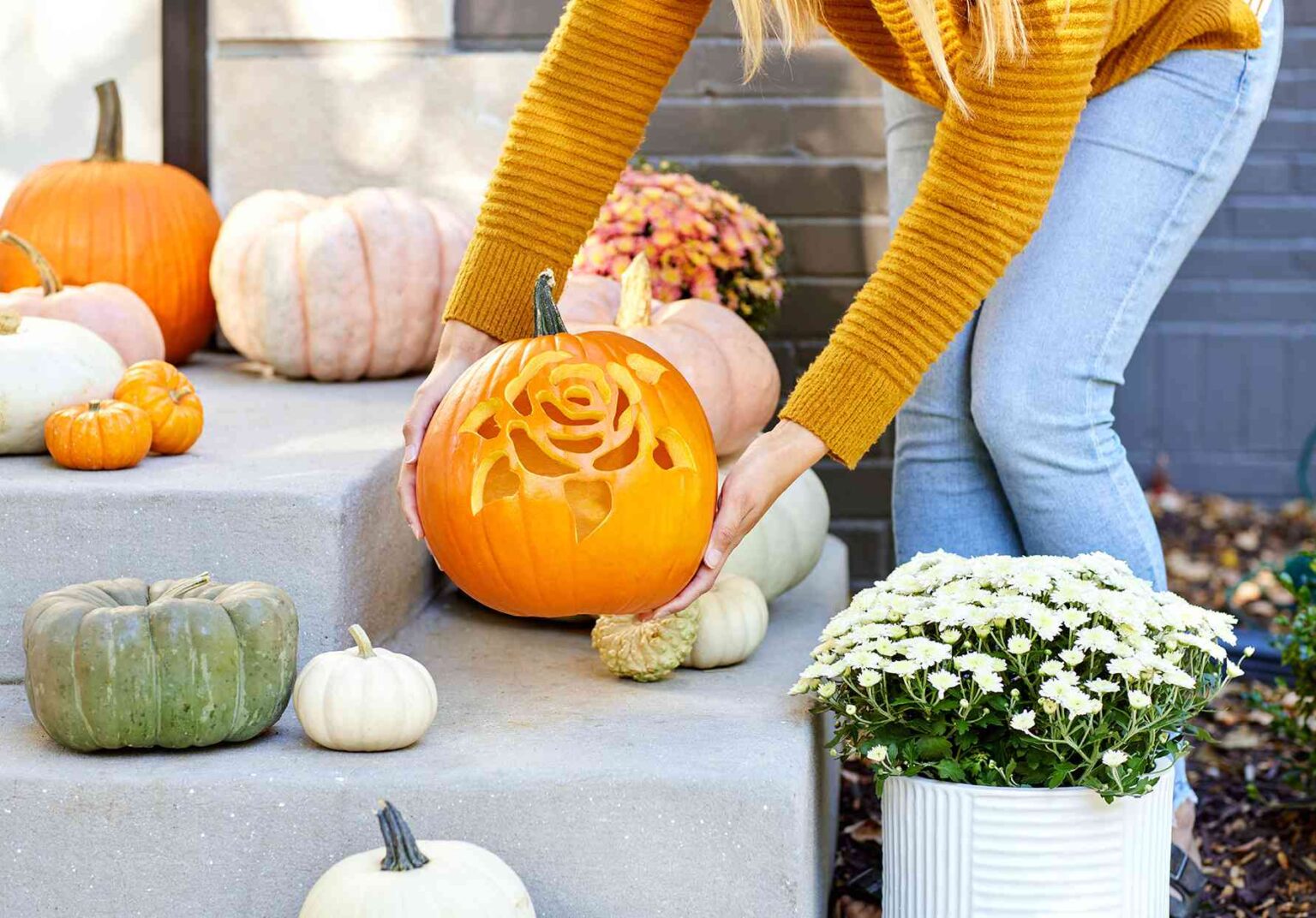 Prevent Bugs from Ruining Your Pumpkins This Halloween with These 7 Tips