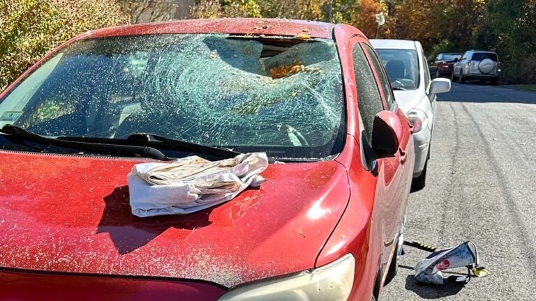 Pumpkin-throwing vandal nails 12 cars in Mass. town