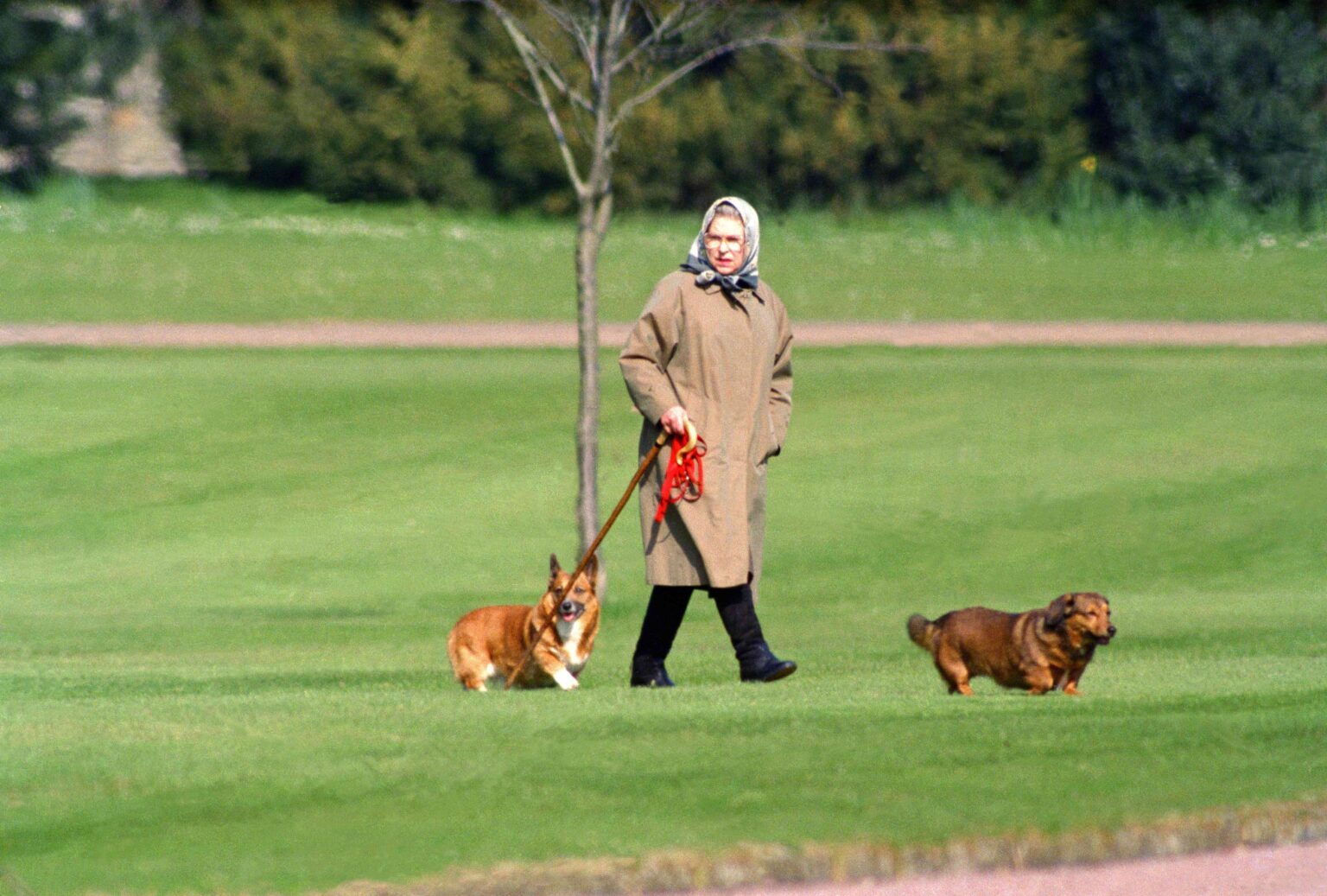 Queen Elizabeth Had the Perfect Trick to "Shut Up" Her Corgis