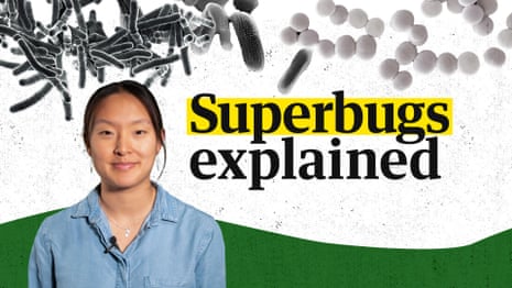 Superbugs explained: what they are and what a post-antibiotic future could look like – video