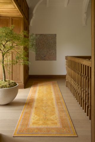 Shot of a wooden hallway with an orange runner rug and a bright green plant in a white pot