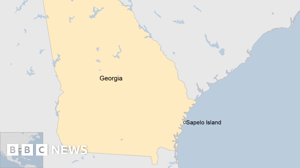 Sapelo Island: At least seven dead after dock collapse in Georgia