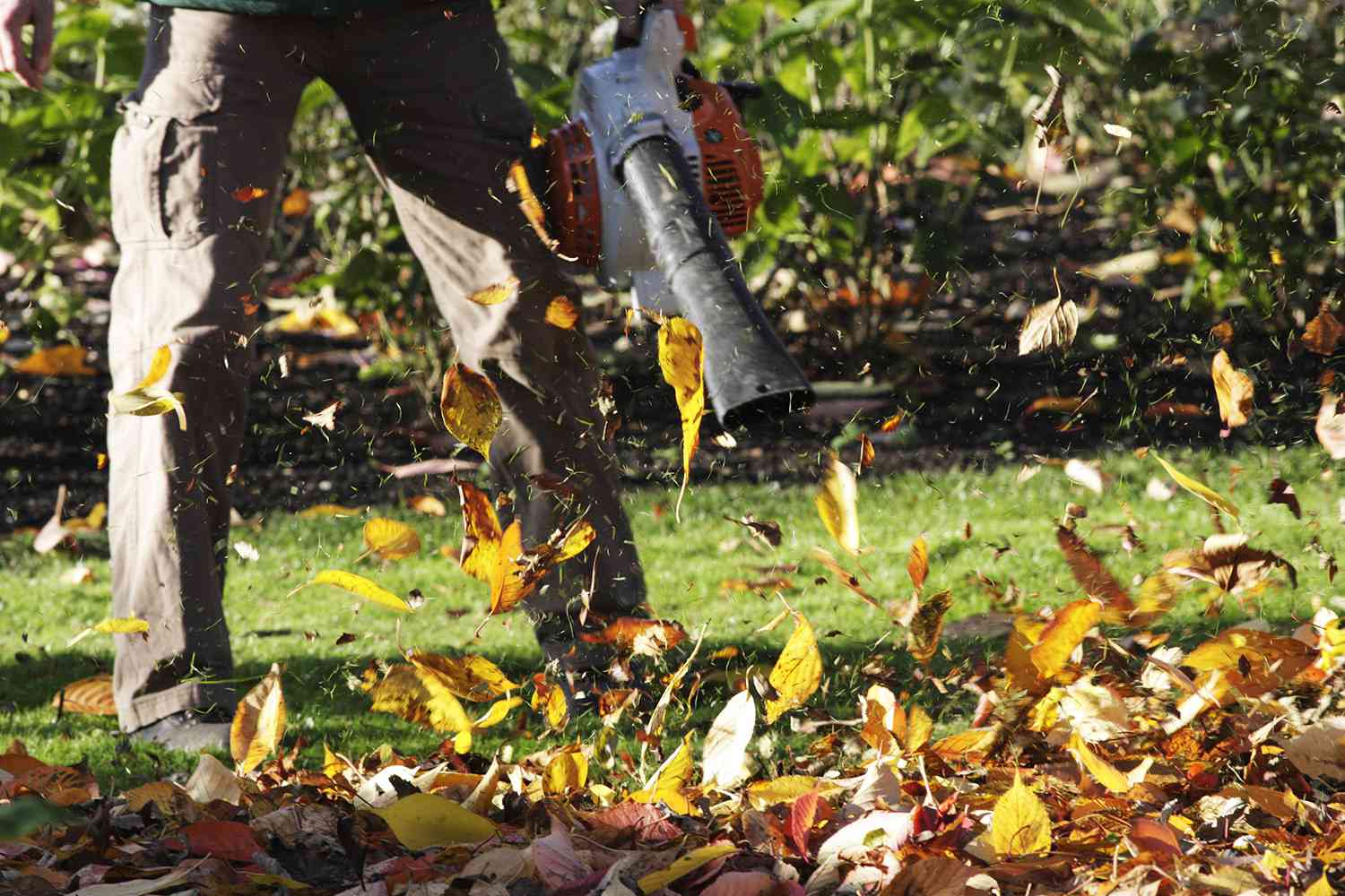 Should You Use a Rake or Leaf Blower? Experts Share Which Is Better