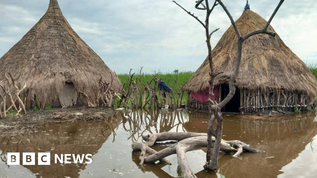 South Sudan flooding: A million people affected by rising waters