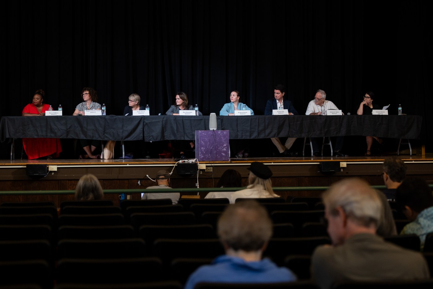 Spending caps lifted in all but two Chicago school board races