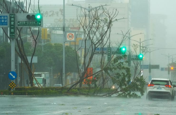 A car drives past a fallen tree as Typhoon Krathon nears Kaohsiung, October 3. AFP-Yonhap