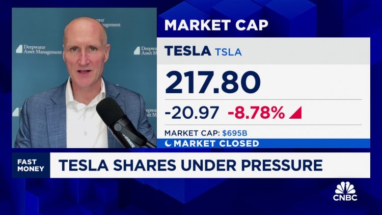 Tesla's stock lower on Cybercab timing and no affordable model update, says Deepwater's Gene Munster