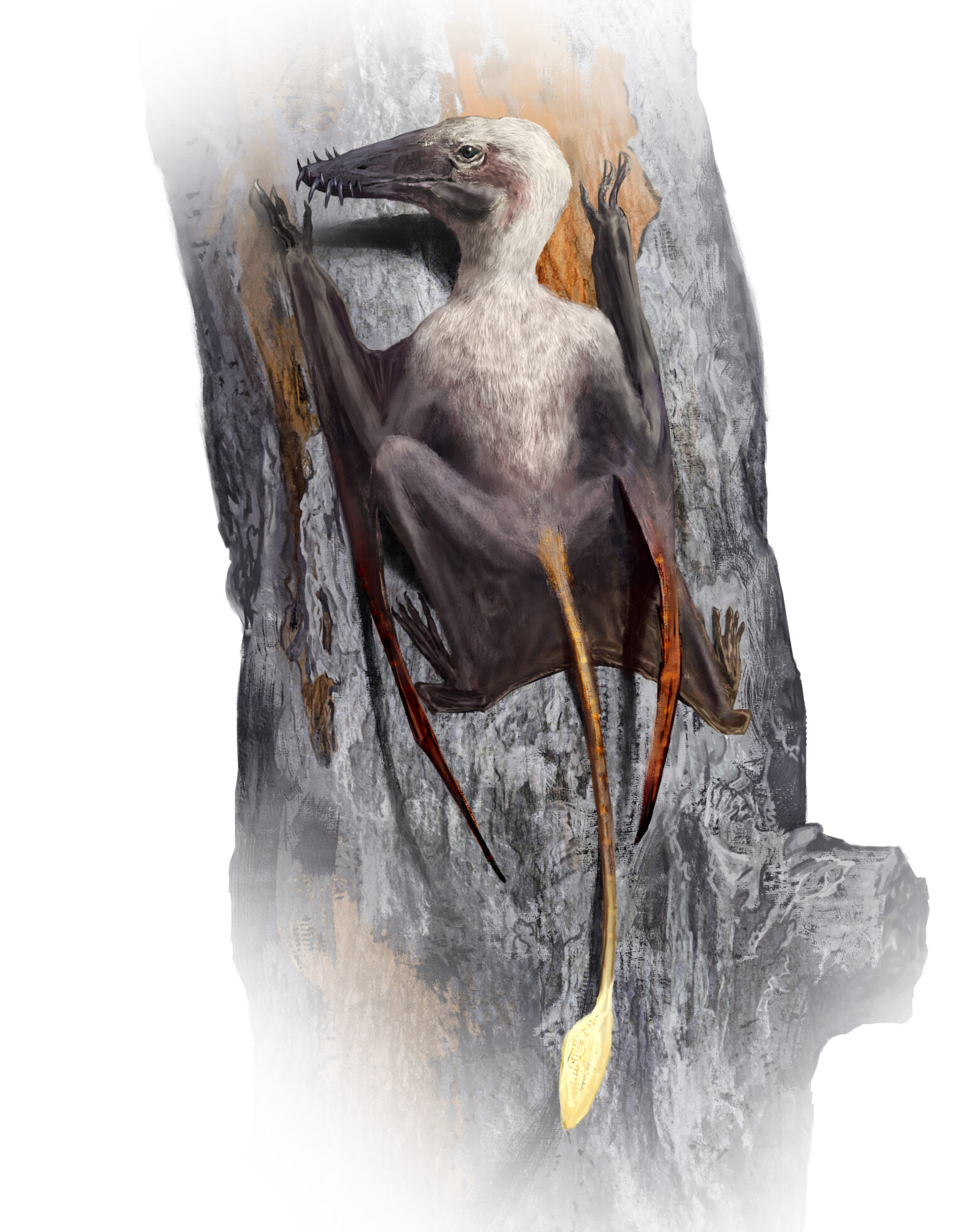 an illustration of a pterosaur with a long tail and teeth outside of its beak clinging to a tree