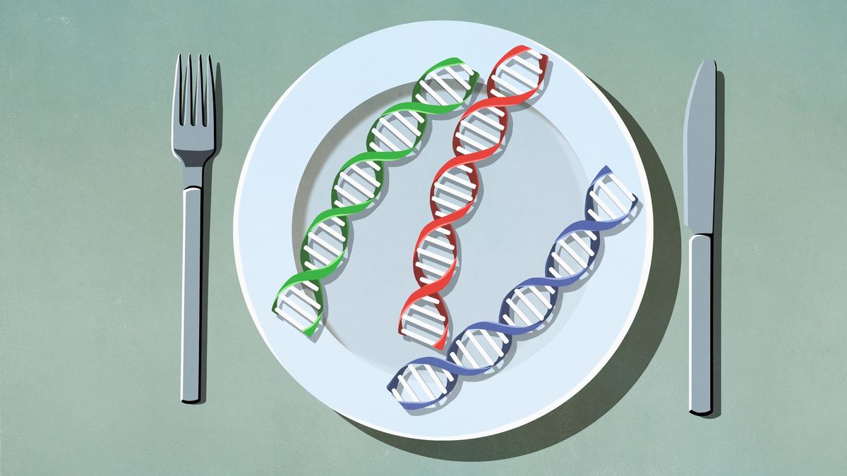 The pros and cons of GMOs