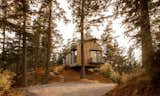 This Remote Orcas Island Getaway Was Constructed Without Removing a Single Tree - Photo 1 of 22 -