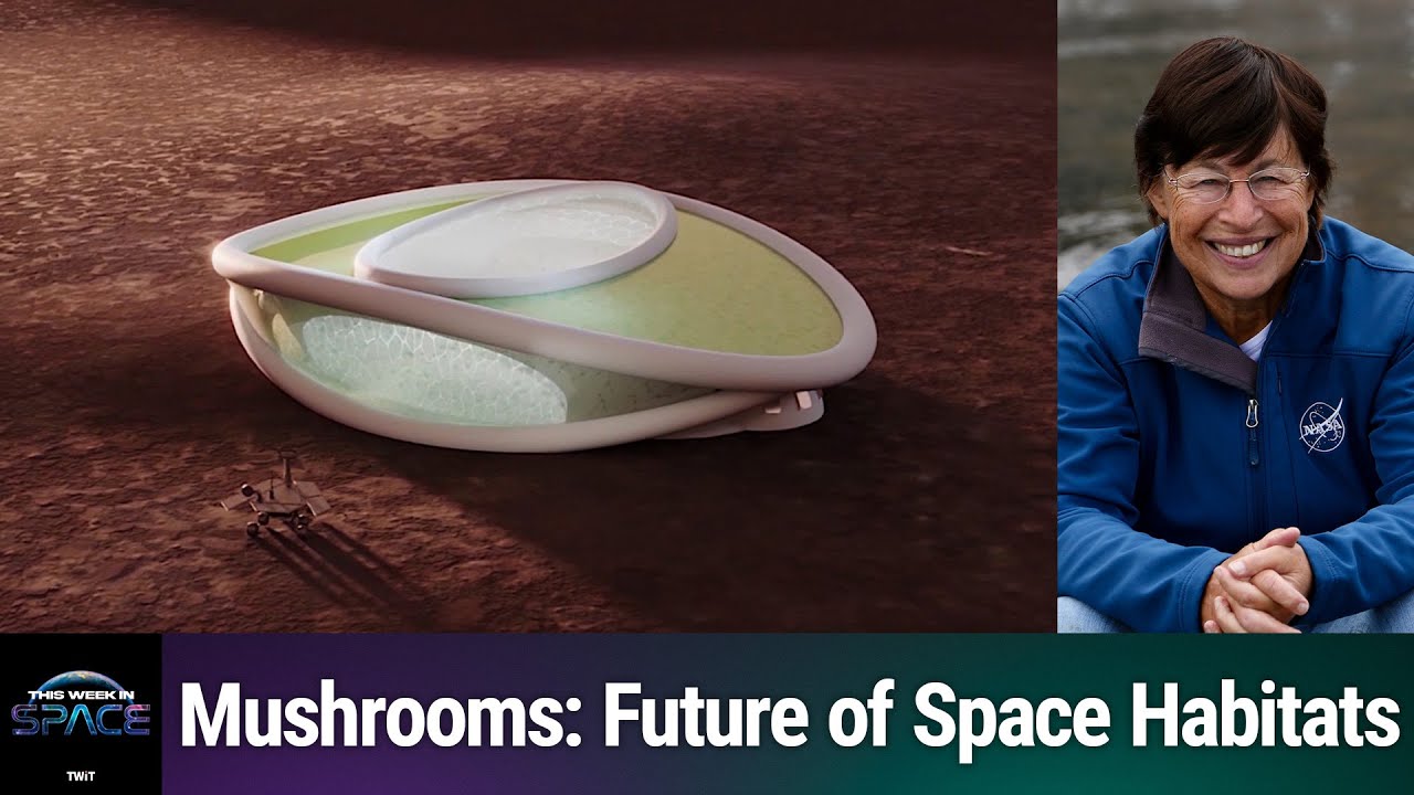 Living in Martian Mushrooms - Growing Fungal Space Habitats - YouTube