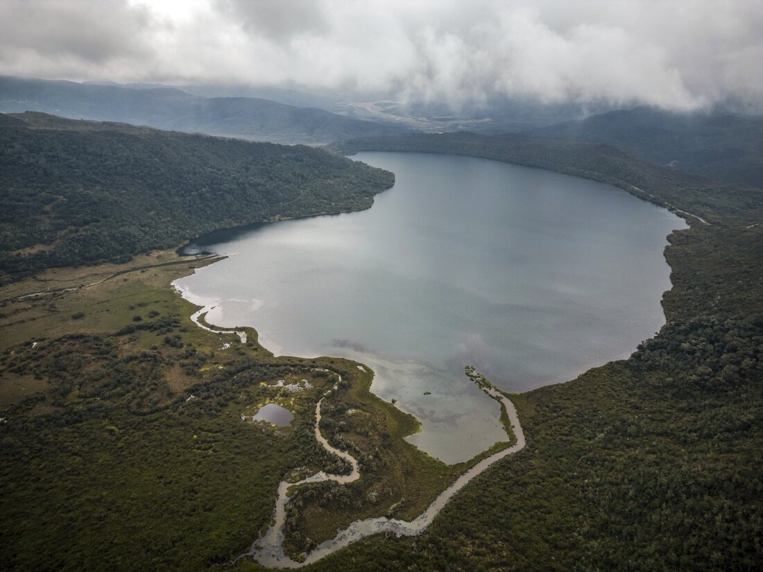 More than a million species are at risk of extinction in the coming decades because of human actions. This week, world leaders are meeting in Colombia to discuss how to preserve biodiversity and prevent habitat loss.