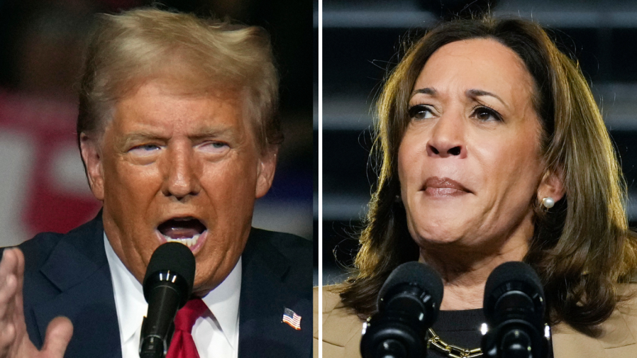 Trump leads Harris among Catholic voters in swing states: Poll