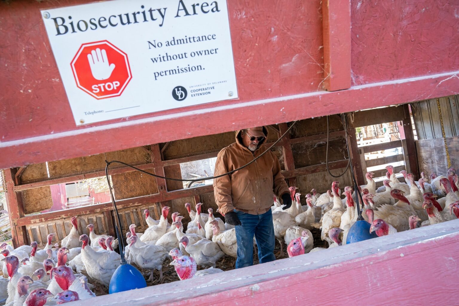 US provides $72M to vaccine manufacturers to advance bird flu shot preparedness