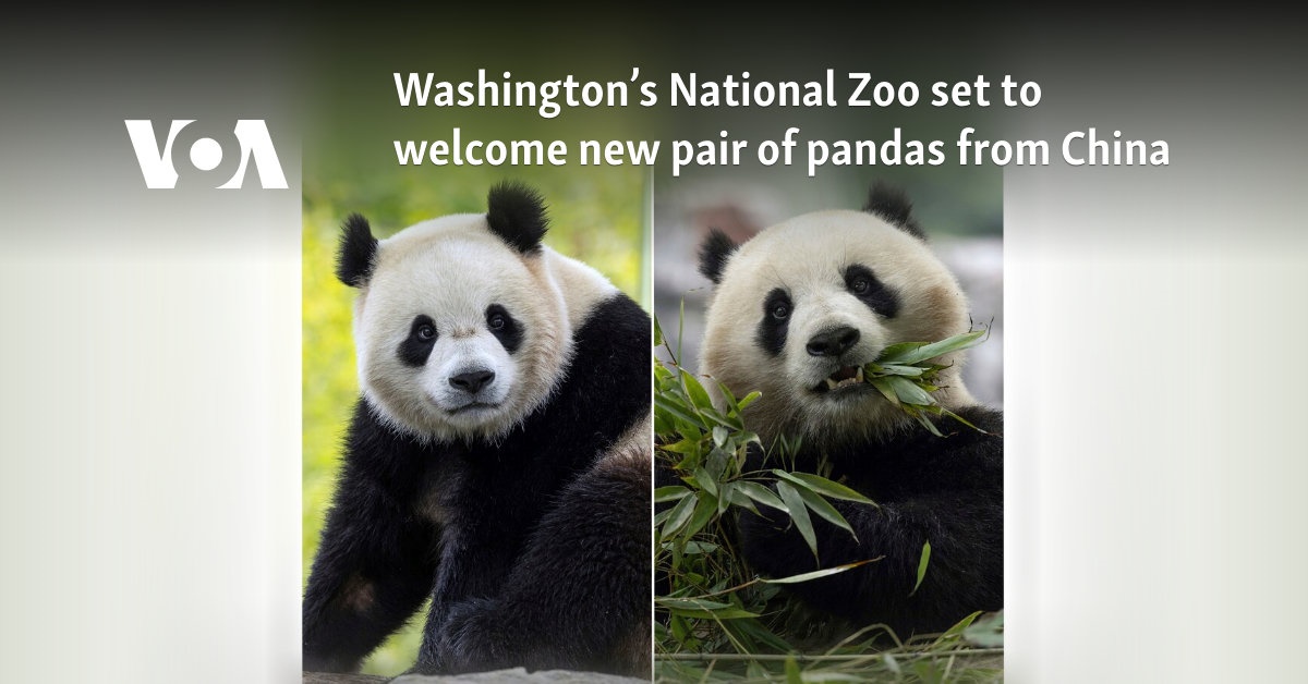 Washington's National Zoo set to welcome new pair of pandas from China