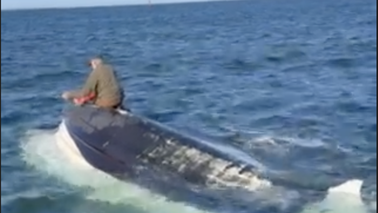 Watch: Man rescued from capsized boat off Nantucket