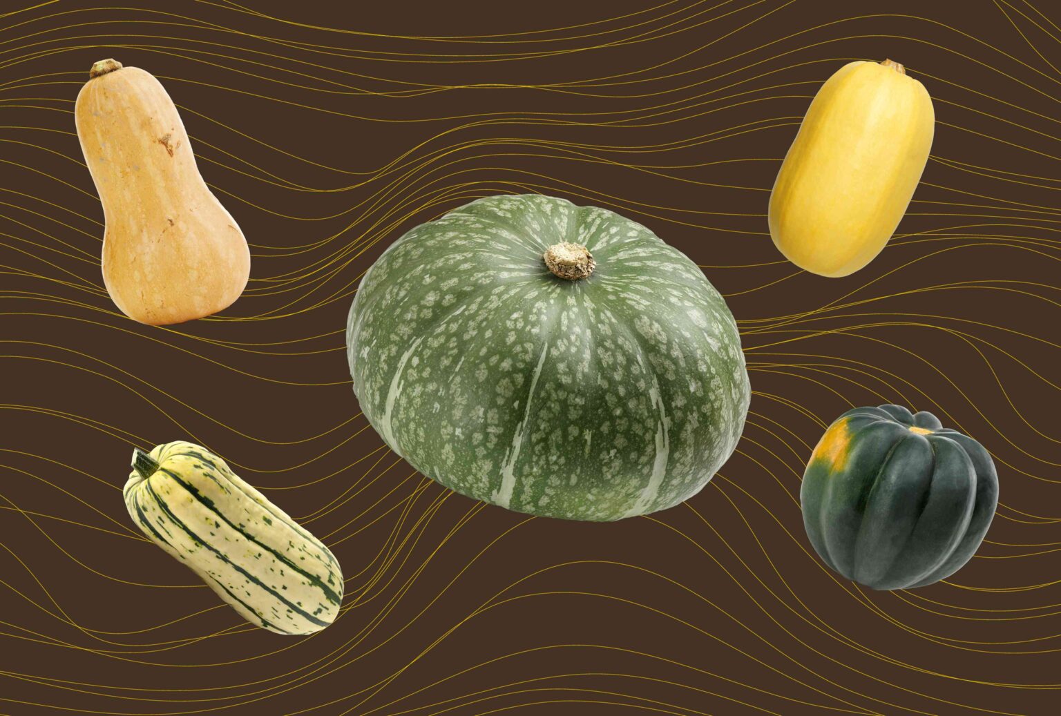 We Asked 3 Chefs Their Favorite Winter Squash—They All Said the Same One