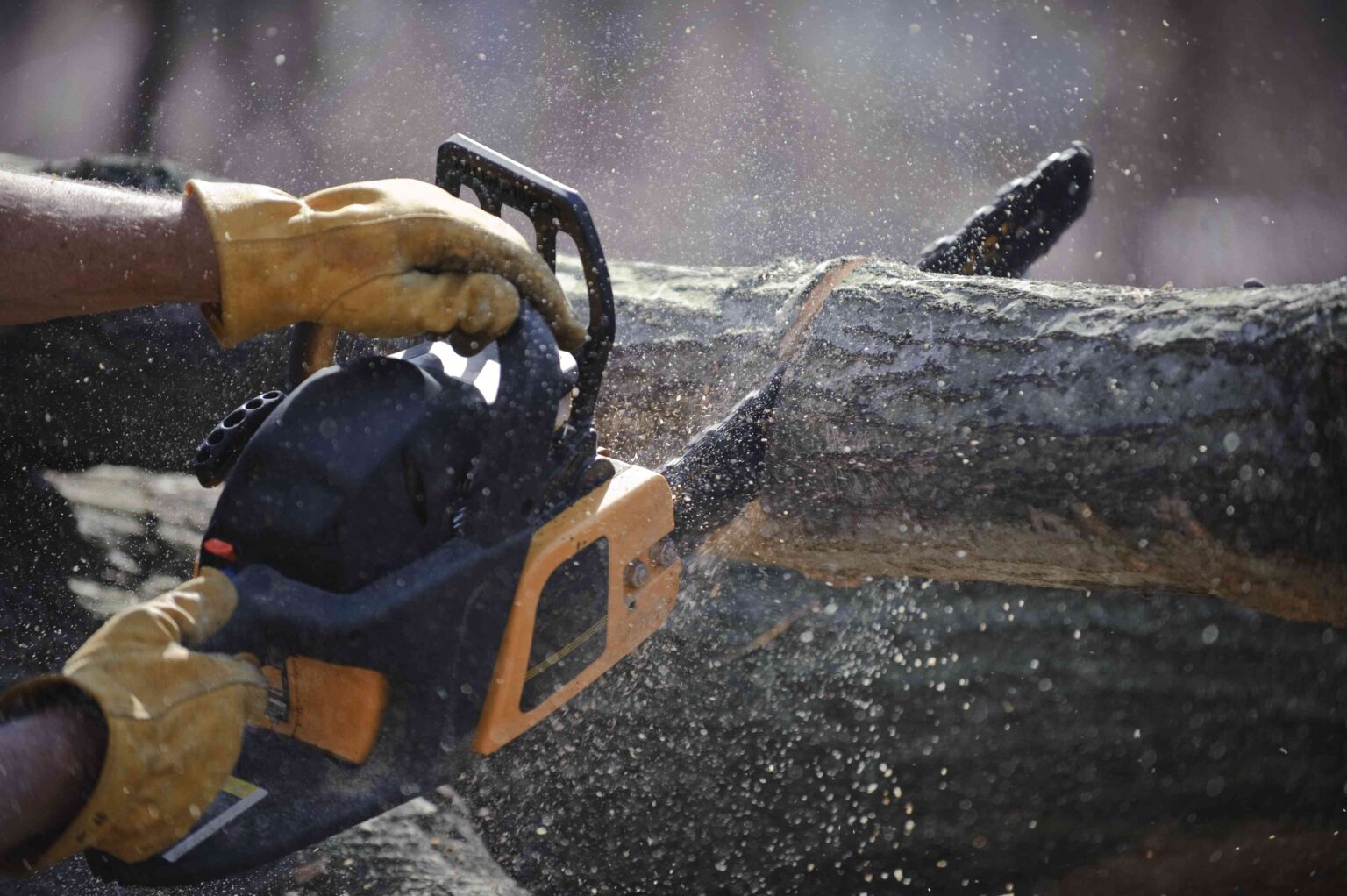 What You Should Know to Use a Chainsaw Safely and Effectively