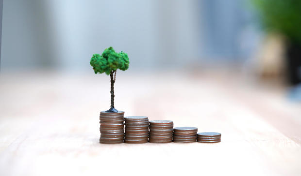 Coins stacks with a tree