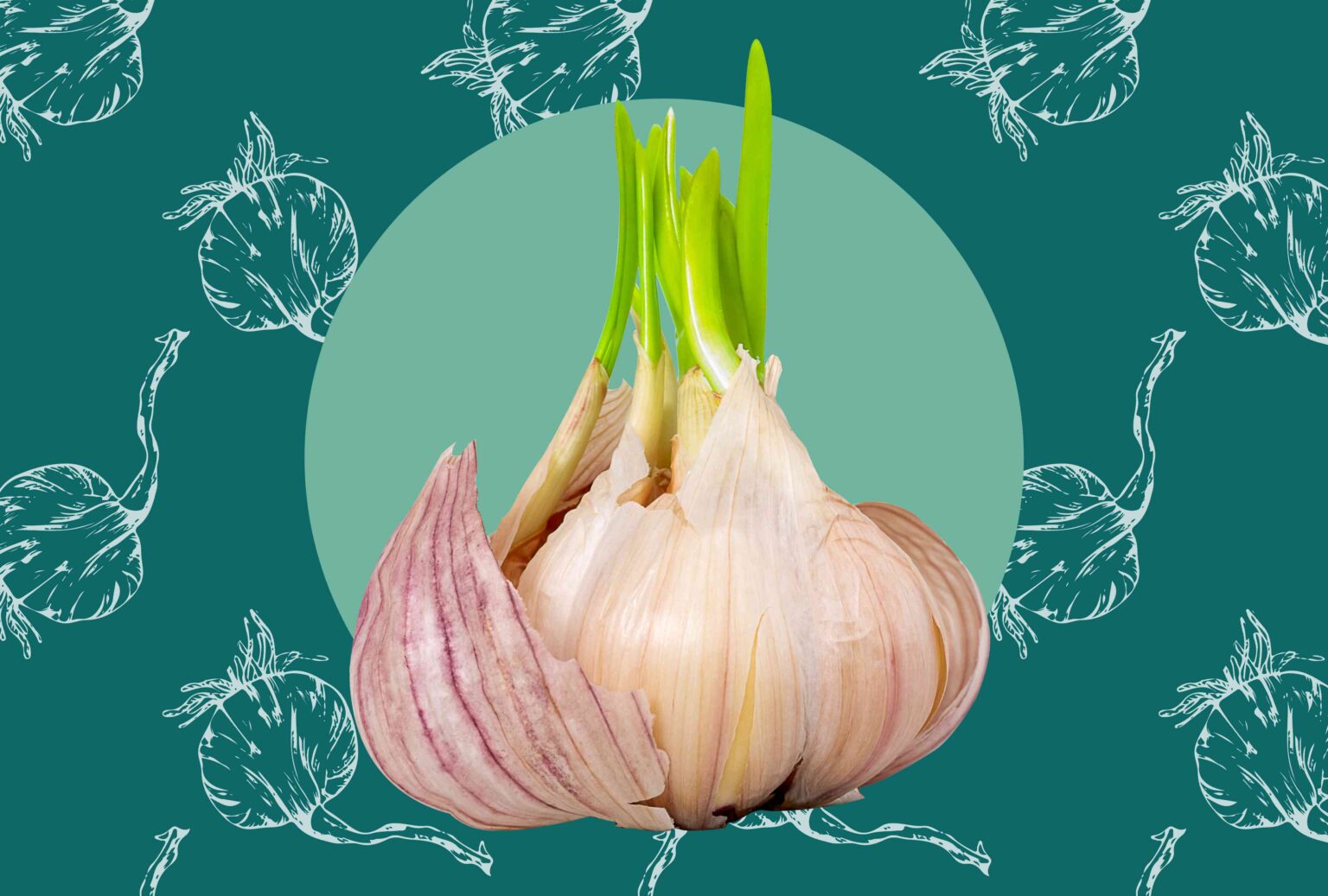 What’s the Green Sprout Inside My Garlic, and Is It Safe to Eat?