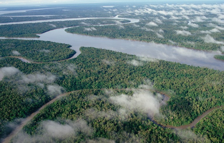 Aerial view of meandering Kikori River and streams through lowland tropical rainforest in Kikori Delta on the Gulf of Papua.